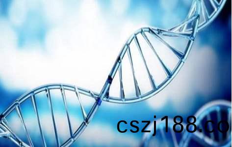 百(bai)傲2019再穫(huo)三(san)證(zheng)，進(jin)入(ru)DNA免提時(shi)代(dai)