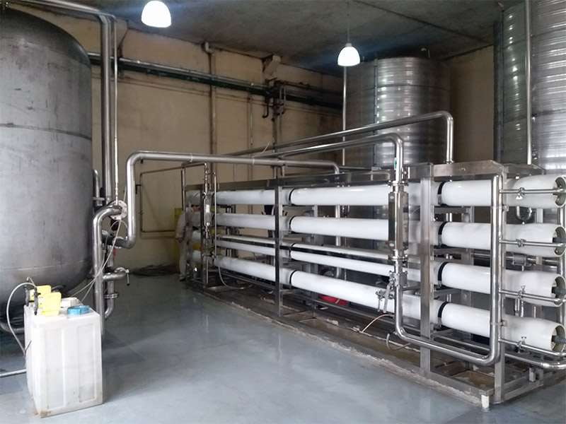廣東某某酒廠30m3ph純水係(xi)統
