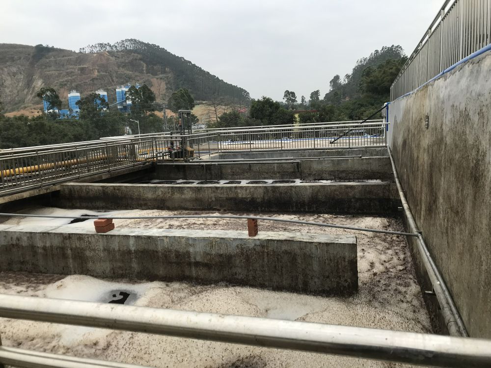 某某屠宰場項目——500t屠宰廢水處理係統(tong)
