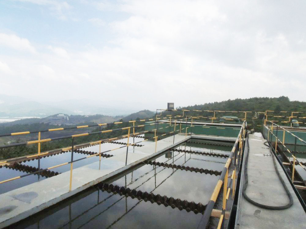 雲(yun)南(nan)某某化工600m3ph一體化